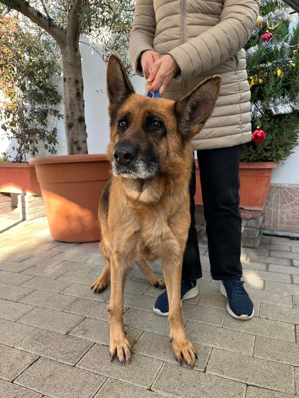 GIANNA PASTORE TEDESCO Foto 3